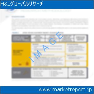 市場と産業調査レポートのイメージ